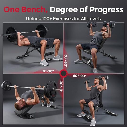 FLYBIRD WB5 Weight Bench, ASTM-Certified 800LBS Adjustable Weight Bench